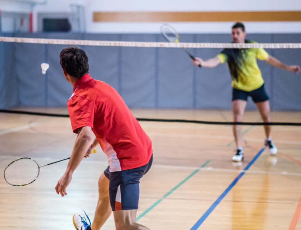 Terrain Badminton 3